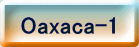 Oaxaca-1